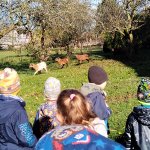 phoca_thumb_m_img_20231023_102258 Fotogalerie