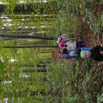 phoca_thumb_m_img_20231024_095018 Fotogalerie