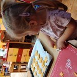 phoca_thumb_m_20231025_072717 Fotogalerie