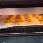 phoca_thumb_m_20231025_081232 Fotogalerie