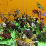 phoca_thumb_m_img_1 Fotogalerie