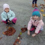 phoca_thumb_m_img_20231116_110052 Fotogalerie