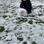 phoca_thumb_m_20231128_103422 Fotogalerie