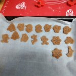 phoca_thumb_m_20231206_071916 Fotogalerie