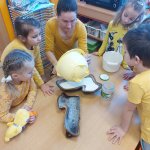 phoca_thumb_m_20240326_074202 Fotogalerie