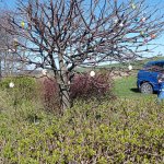 phoca_thumb_m_img_20240326_103255 Fotogalerie