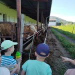 phoca_thumb_m_img_20240409_100818 Fotogalerie