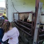 phoca_thumb_m_img_20240409_100950 Fotogalerie