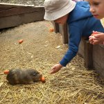 phoca_thumb_m_20240611_093942 Fotogalerie