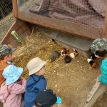 phoca_thumb_m_20240611_094051 Fotogalerie