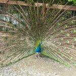 phoca_thumb_m_20240611_094748 Fotogalerie