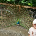 phoca_thumb_m_20240611_094853 Fotogalerie