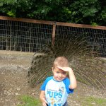 phoca_thumb_m_20240611_094927 Fotogalerie