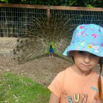 phoca_thumb_m_20240611_094940 Fotogalerie