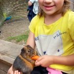 phoca_thumb_m_20240611_095138 Fotogalerie