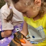 phoca_thumb_m_20240611_095155 Fotogalerie