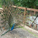 phoca_thumb_m_20240611_095345 Fotogalerie