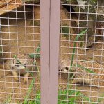 phoca_thumb_m_20240611_095943 Fotogalerie