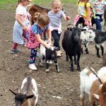 phoca_thumb_m_20240611_100816 Fotogalerie