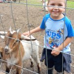 phoca_thumb_m_20240611_100906 Fotogalerie