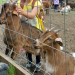 phoca_thumb_m_20240611_100909 Fotogalerie