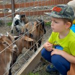 phoca_thumb_m_20240611_101419 Fotogalerie