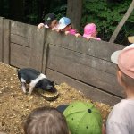 phoca_thumb_m_20240611_103749 Fotogalerie