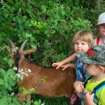 phoca_thumb_m_20240611_105709 Fotogalerie