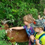 phoca_thumb_m_20240611_105711 Fotogalerie