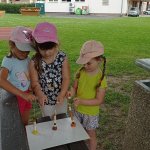 phoca_thumb_m_img_20240620_103234 Fotogalerie