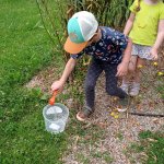 phoca_thumb_m_img_20240620_104405 Fotogalerie