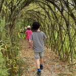 phoca_thumb_m_img_7208 Fotogalerie