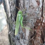 phoca_thumb_m_3 Fotogalerie