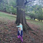 phoca_thumb_m_img_20241010_100028 Fotogalerie