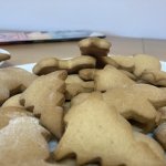 phoca_thumb_m_img_6119 Fotogalerie