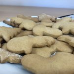 phoca_thumb_m_img_6121 Fotogalerie