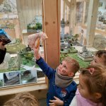 phoca_thumb_m_img_20241205_102558 Fotogalerie