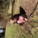 phoca_thumb_m_img_0451 Fotogalerie