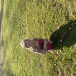 phoca_thumb_m_img_0453 Fotogalerie