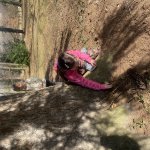 phoca_thumb_m_img_0458 Fotogalerie