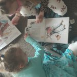 phoca_thumb_m_img_20250324_092549 Fotogalerie