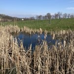 phoca_thumb_m_img_7570 Fotogalerie