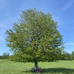 phoca_thumb_m_img_0863 Fotogalerie
