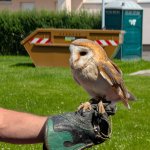 phoca_thumb_m_pxl_20250605_082836607 Fotogalerie