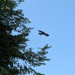 phoca_thumb_m_pxl_20250605_083333217 Fotogalerie