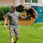 phoca_thumb_m_pxl_20250605_084300706 Fotogalerie