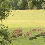phoca_thumb_m_img_1315 Fotogalerie