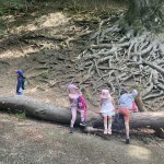 phoca_thumb_m_img_8351 Fotogalerie